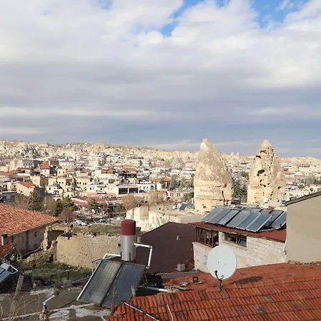 Готель Arch Palace